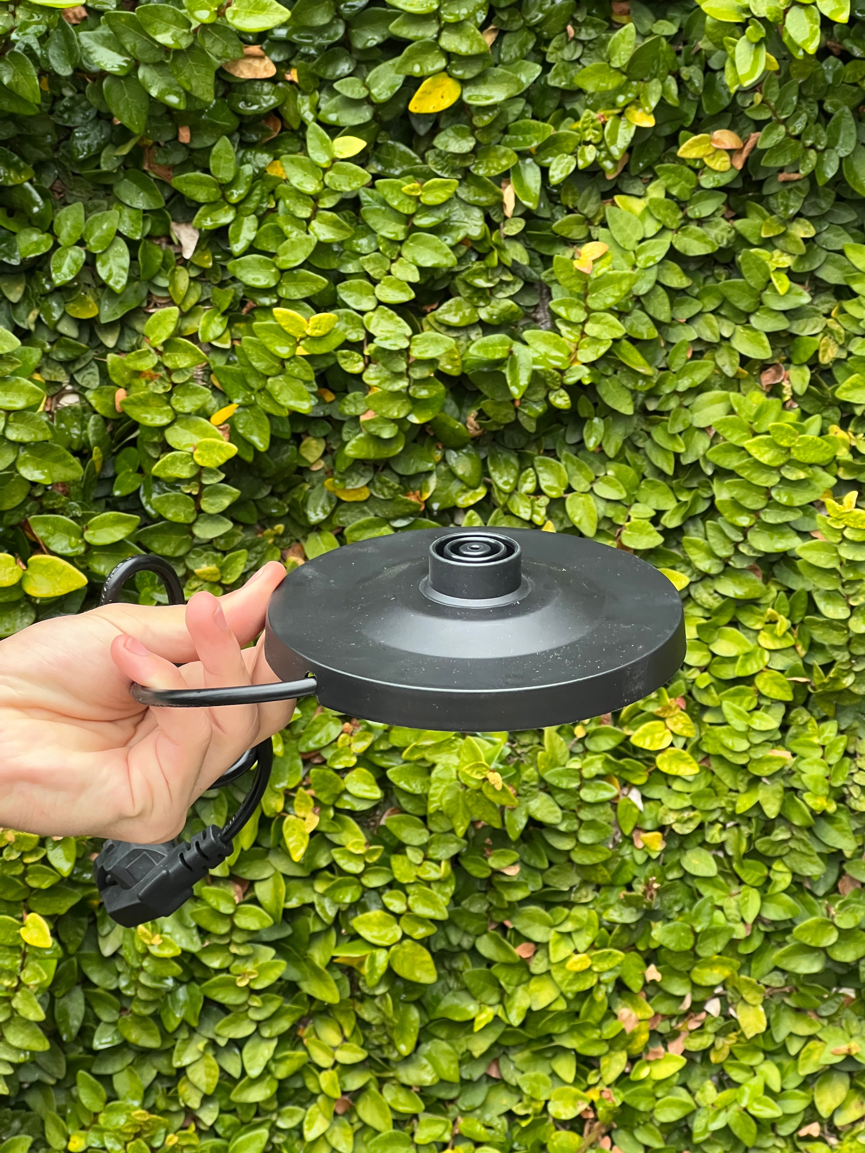 Philips Electric Kettle